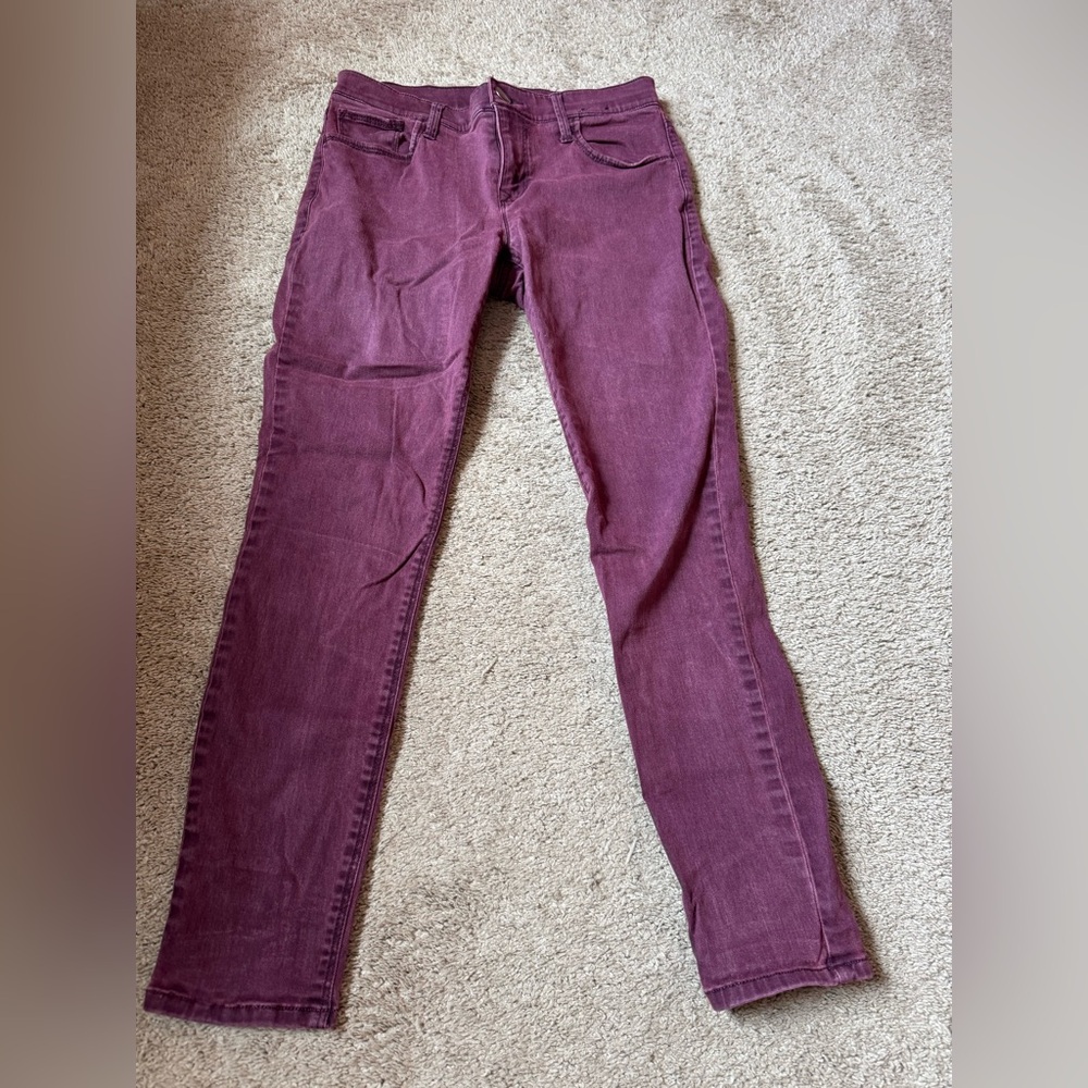 Express maroon Pants